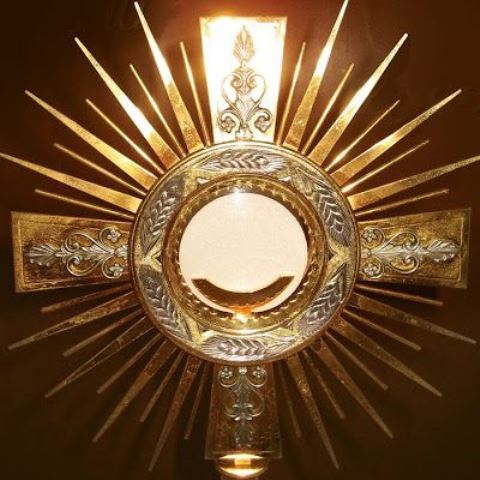 b7707f0008c9a185ef98172146661994